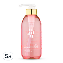 아유아유 아크네 바디워시, 500g, 5개