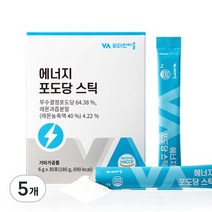 비타민마을 와이즈 에너지 포도당 스틱 30p, 5개, 180g