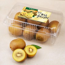 올바른과일 올과 국산 골드키위, 1kg(8~9입), 1개