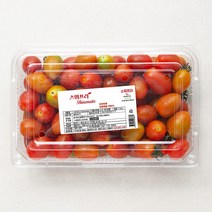 스위프리 스테비아 토마토, 1kg, 1개