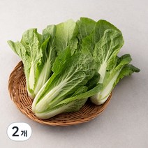 GAP 인증 국내산 얼갈이, 500g, 2개