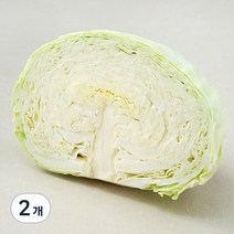 곰곰 국내산 양배추 1/2통, 500g, 2개