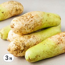 곰곰 국내산 무청제거 다발무, 5kg, 3개