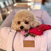 개과천선 강아지 오코텍스 스탠다드 100 루시 카시트, 베얼리 로즈 핑크