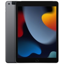 Apple 아이패드 10.2 2021년 9세대, 스페이스 그레이, 256GB, Wi-Fi+Cellular