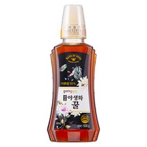 곰곰 야생화 꿀, 500g, 1개