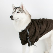 퍼피아 반려동물 소형견 대형견 빛반사 아웃도어 방수 우비 레인코트, 브라운