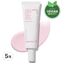이니스프리 New 왕벚꽃글로우스킨핏톤업크림 핑크 SPF50+ PA++++ 50ml, 5개