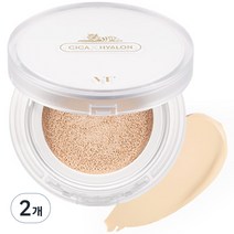 VT 시카 스킨 핏 커버 쿠션, 21호, 2개