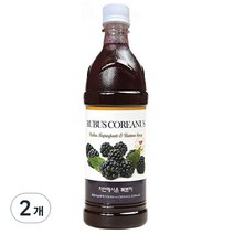 자연에서온 복분자 원액, 900ml, 2개