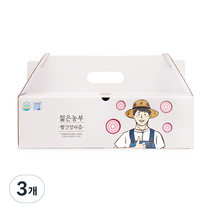 젊은농부 빨간양파즙, 3000ml, 3개