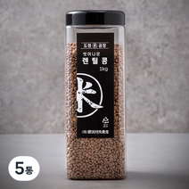 도정공장 씻어나온 렌틸콩, 1kg, 5통