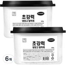 생활공식 제올라이트 초강력 냉장고 탈취제 냉장 냉동 공용, 300g, 6개