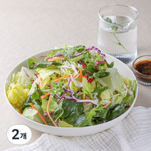 곰곰 비건인증 아삭한 프레시 채소믹스, 500g, 2개