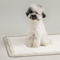 인기 있는 강아지실리콘배변판 판매 순위 TOP50