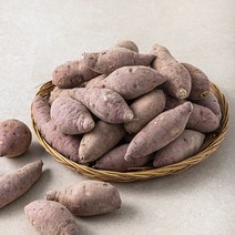 해남 꿀고구마(한입), 5kg(한입), 1개