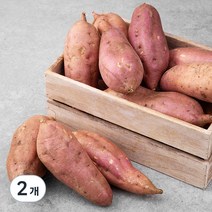 곰곰 국내산 호박고구마, 3Kg, 2개