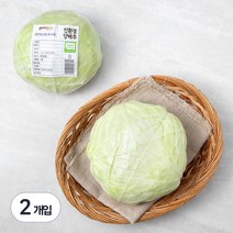곰곰 친환경 양배추, 1개입, 2개