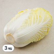 국내산 손질 배추, 1개입, 3개