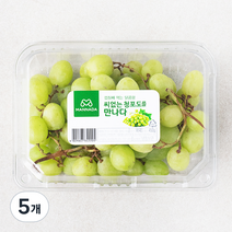 만나다 미국산 씨없는 청포도, 450g, 5개