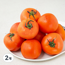 ONLYFARM 주스용 토마토, 2.5kg, 2개