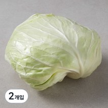 국내산 양배추, 1개입, 2개