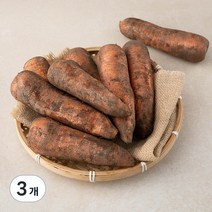 밀양 친환경 흙당근, 1kg, 3개