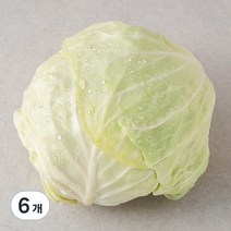 곰곰 국내산 양배추, 1개입, 6개