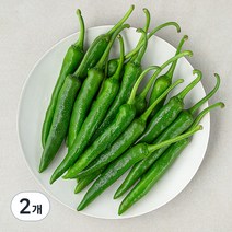 곰곰 국내산 풋고추, 300g, 2개