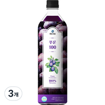 맑은내일 푸룬 100 과채주스, 1000ml, 3개