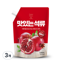 데이앤 맛있는 석류, 3개, 1L
