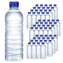 에브리데이 산수, 500ml, 60개