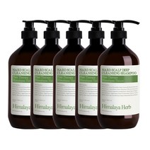 부케가르니 나드 두피 딥클렌징 샴푸, 1000ml, 5개