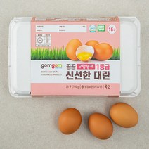 곰곰 무항생제 1등급 신선한 대란, 15구