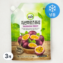 뉴뜨레 패션후루츠퓨레 (냉동), 1kg, 3개