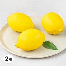 다조은 칠레산 레몬 3개입, 2개, 350g(3입)