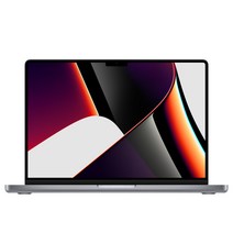 Apple 2021 맥북프로 14, 스페이스그레이, M1 Pro 10코어, GPU 14코어, 1024GB, 16GB, Z15G001DG