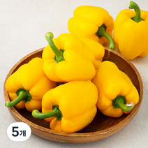 국내산 노랑파프리카, 1kg, 5개