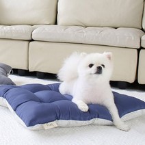 도그포즈 반려동물 방방 매트, 네이비