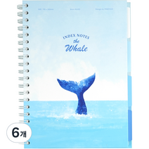 핑크풋 8000 고래 인덱스노트, 블루, 6개