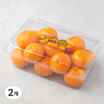 탐라황감 당도선별 서귀포 하우스감귤, 1.5kg, 2개