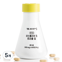 비타민마을 보스웰리아 정 트리플 업 30g, 5개