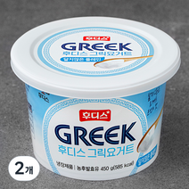 일동후디스 그릭요거트 달지않는 플레인, 450g, 2개