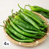 국내산 오이고추, 1kg, 4개