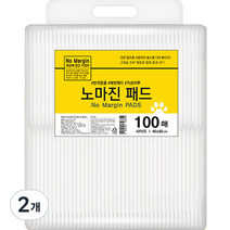 노마진 반려견 배변패드, 100매입, 2개