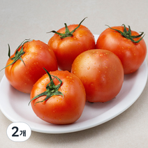 광식이농장 GAP 인증 완숙 토마토, 1kg, 2개