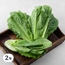 곰곰 포기 로메인, 500g, 2개