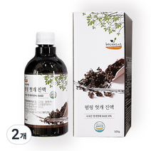 해피테라스 펌핑 헛개 진액 500g, 1개입, 2개