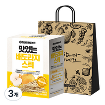 참앤들황토농원 맛있는 배도라지스틱 + 쇼핑백, 360g, 3개