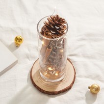 아스파시아 LED 유리무드등 솔방울 DIY 세트, 혼합색상
